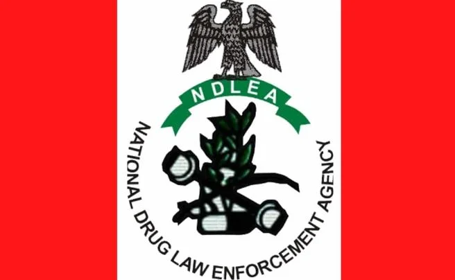 NDLEA Recruitment Portal 2025/2026 | Application Form