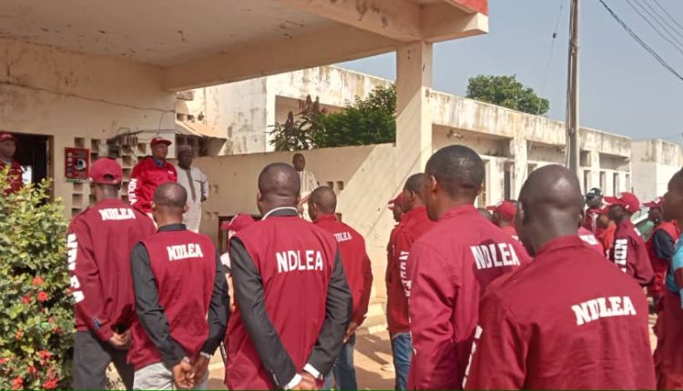 NDLEA Shortlisted Candidates 2025/2026 | Download PDF