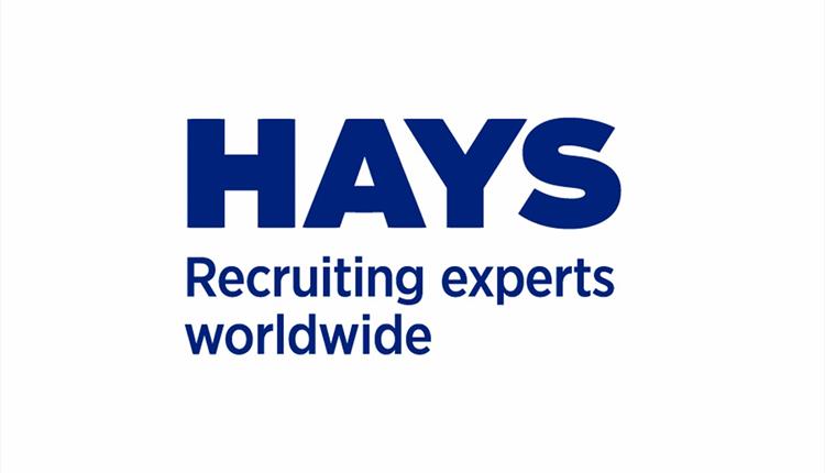 HAYS Recruitment 2025/2026 Portal | How to Apply