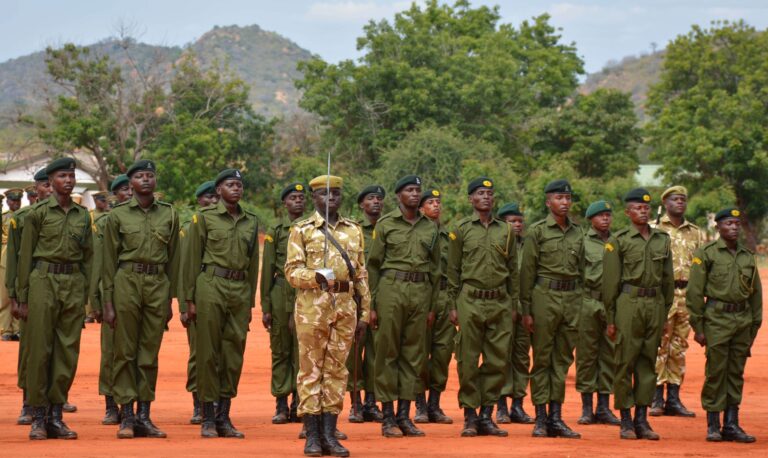 Kenya Wildlife Service (KWS) Recruitment 2025/2026 | Application Portal