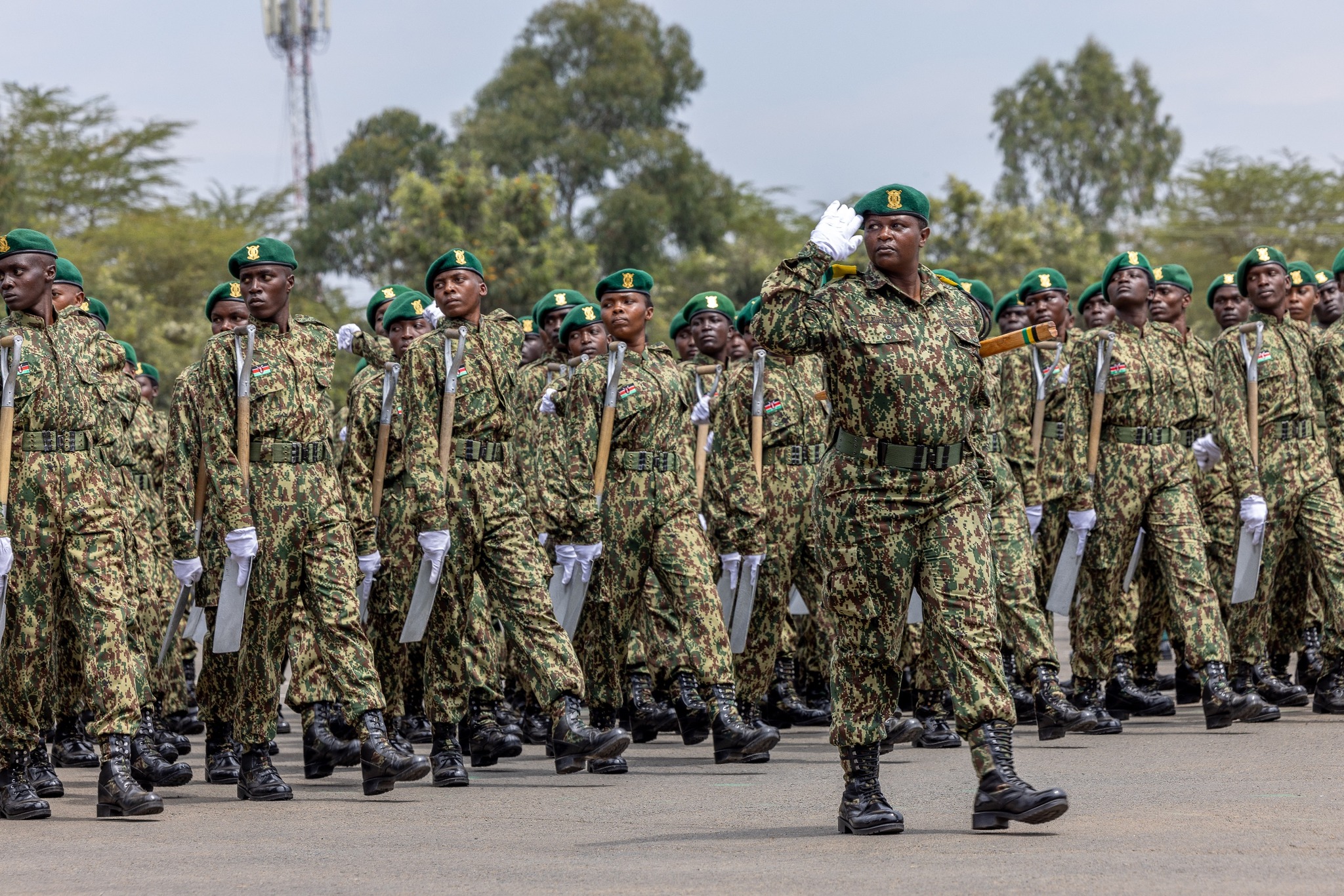 NYS Recruitment 2025/2026 | Application Portal/https://recruitmentnode.com/