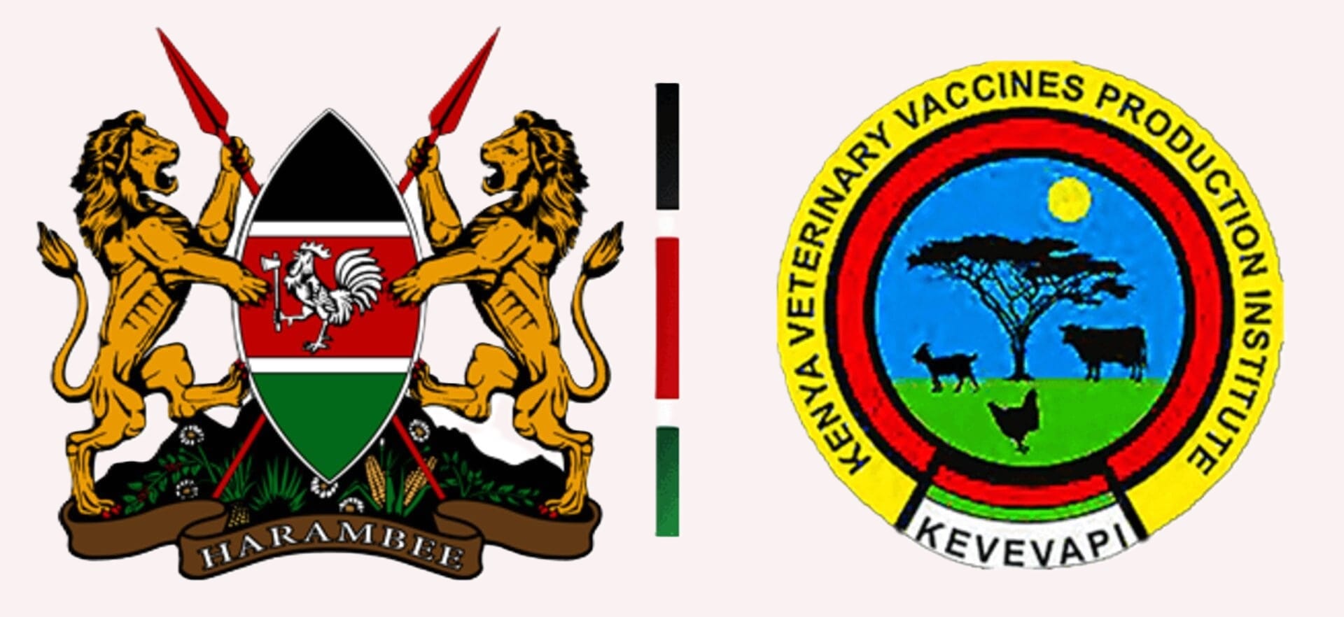 KEVEVAPI Recruitment 2026/2027 | Application Portal/https://recruitmentnode.com/