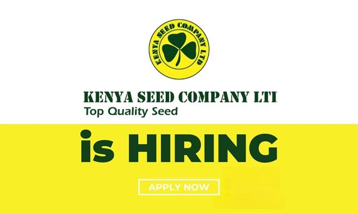 Kenya Seed Company Recruitment 2026/2027 | Application Portal/https://recruitmentnode.com/